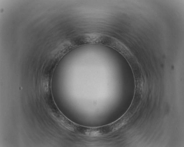 X0000062670602200512230948