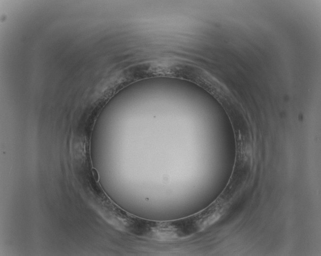 X0000062670603200512230948