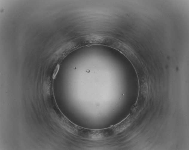 X0000062670604200512230948