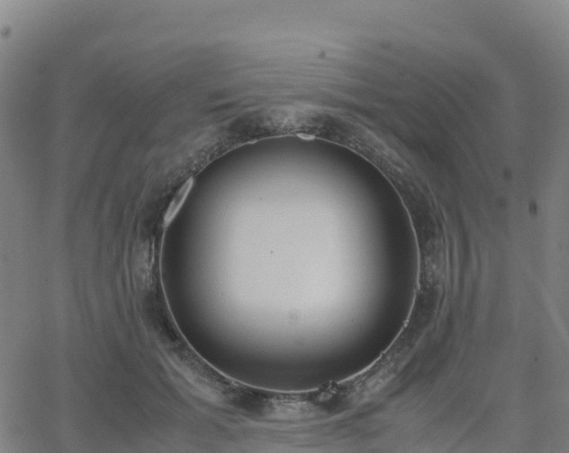 X0000062670605200512230948