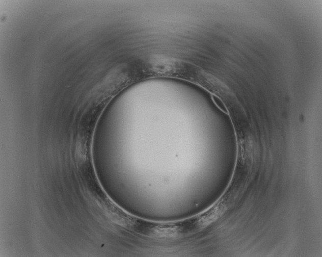 X0000062670606200512230948