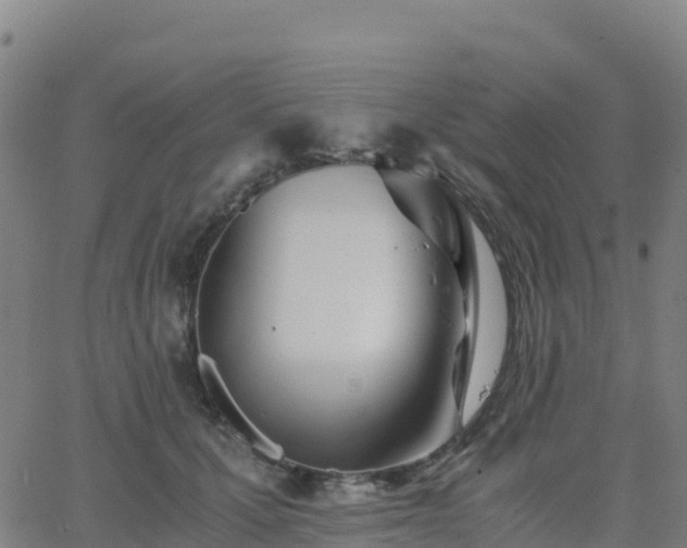 X0000062670607200512230948