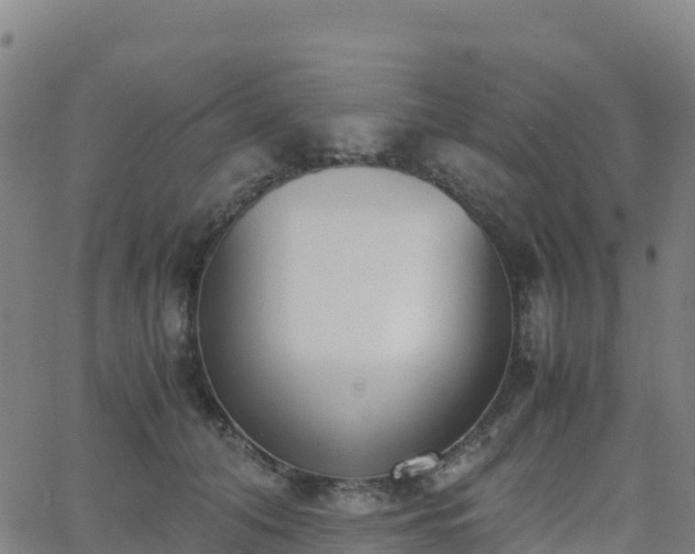 X0000062670608200512230948