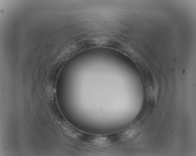 X0000062670609200512230948