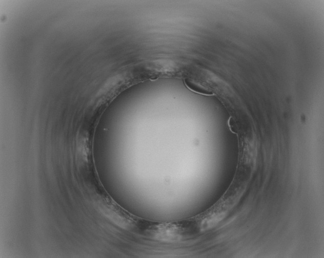 X0000062670612200512230948