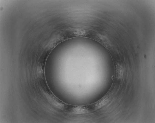 X0000062670614200512230948