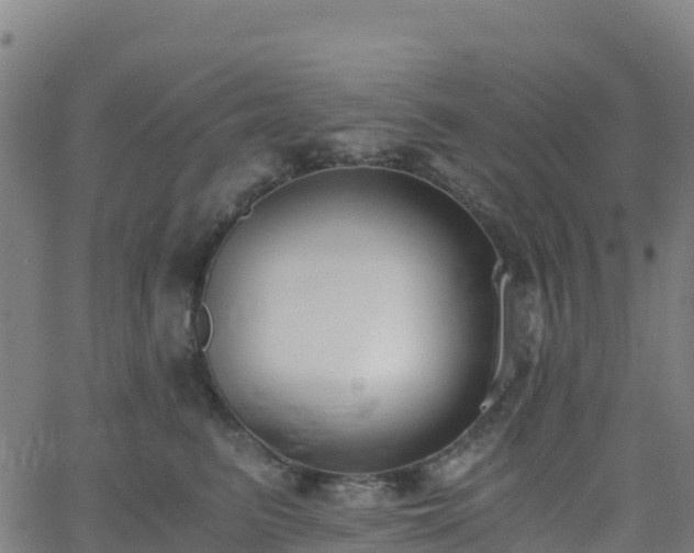 X0000062670615200512230948