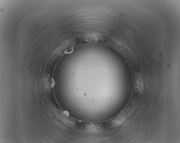 X0000062670616200512230948