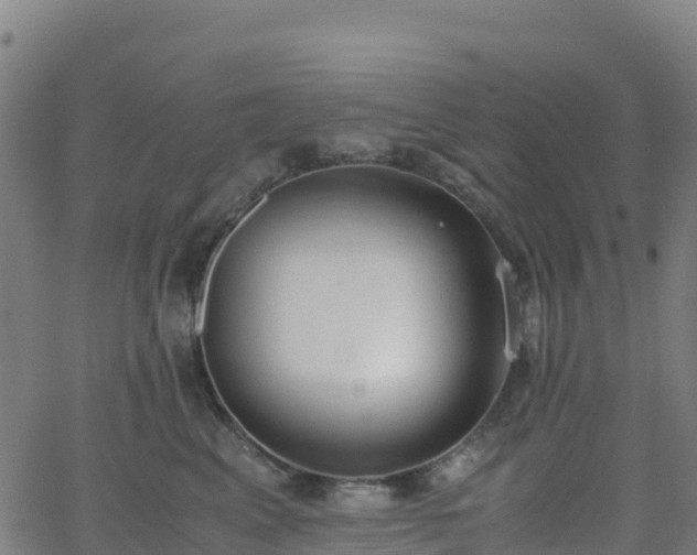 X0000062670617200512230948