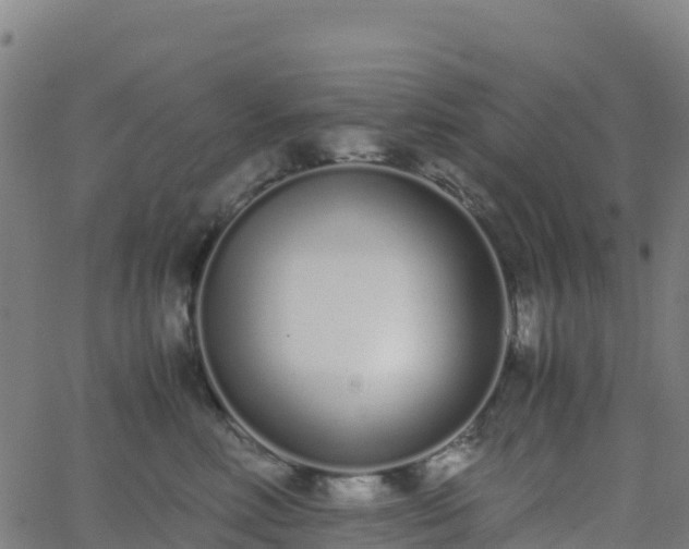 X0000062670618200512230948