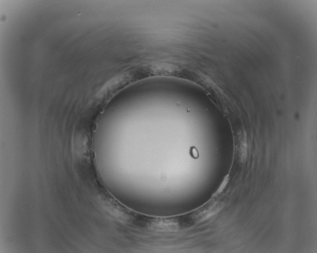 X0000062670619200512230948