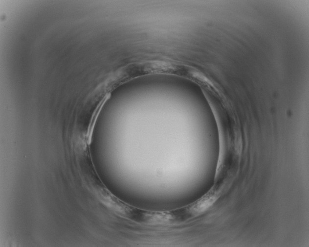 X0000062670621200512230948