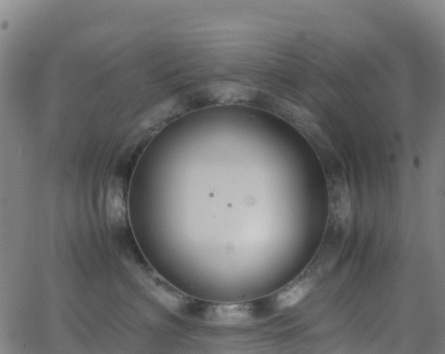 X0000062670622200512230948