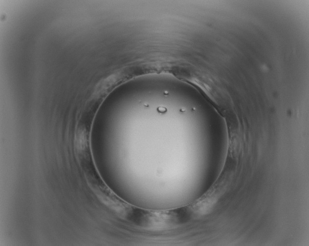 X0000062670623200512230948