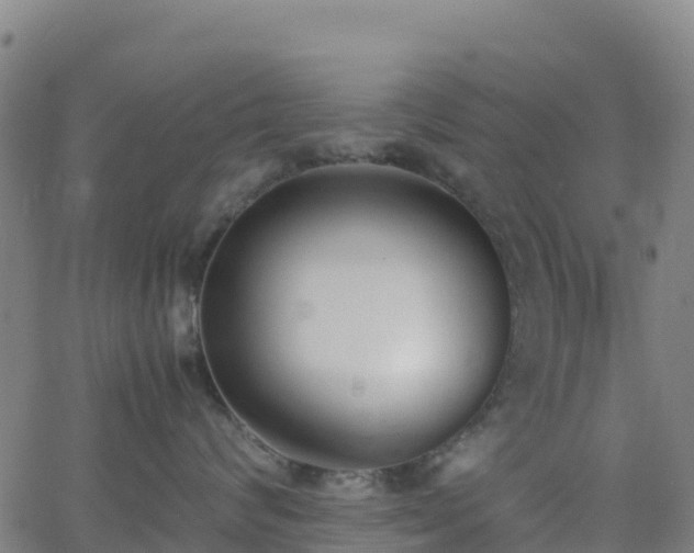 X0000062670624200512230948