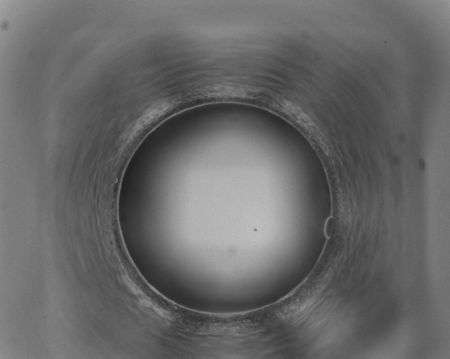 X0000062670625200512230947