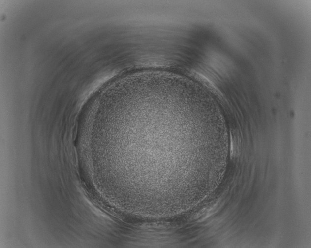 X0000062670627200512230947