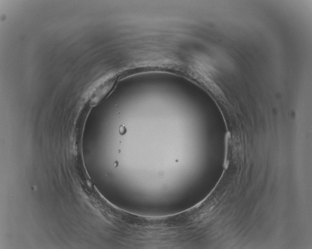 X0000062670628200512230947