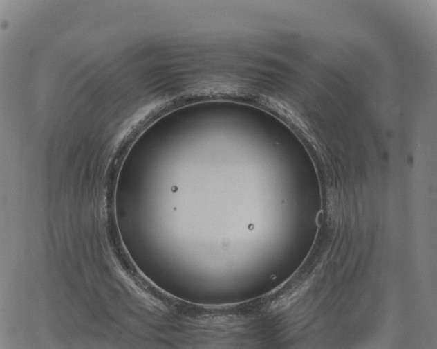 X0000062670629200512230947