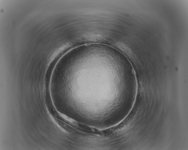 X0000062670630200512230947