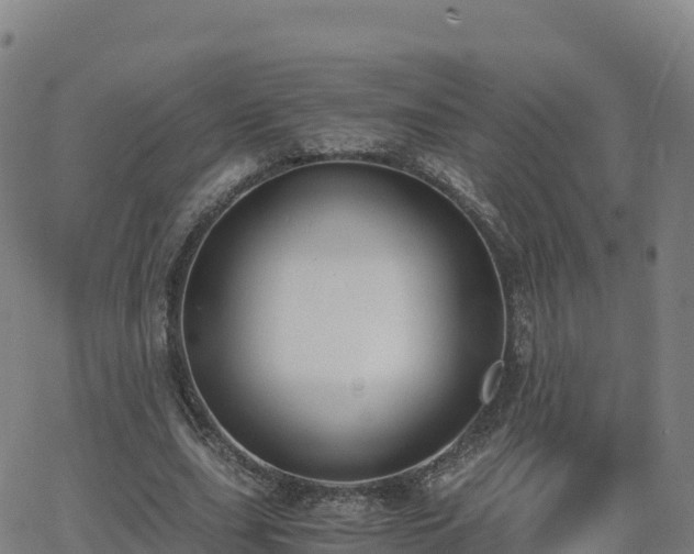 X0000062670631200512230947