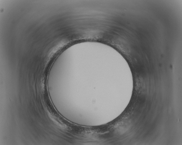 X0000062670632200512230947