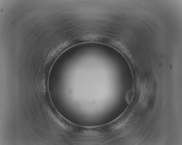 X0000062670633200512230947