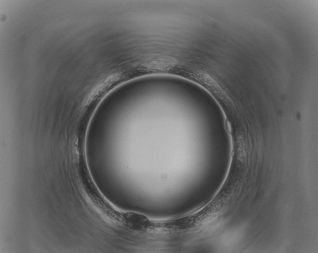 X0000062670634200512230947