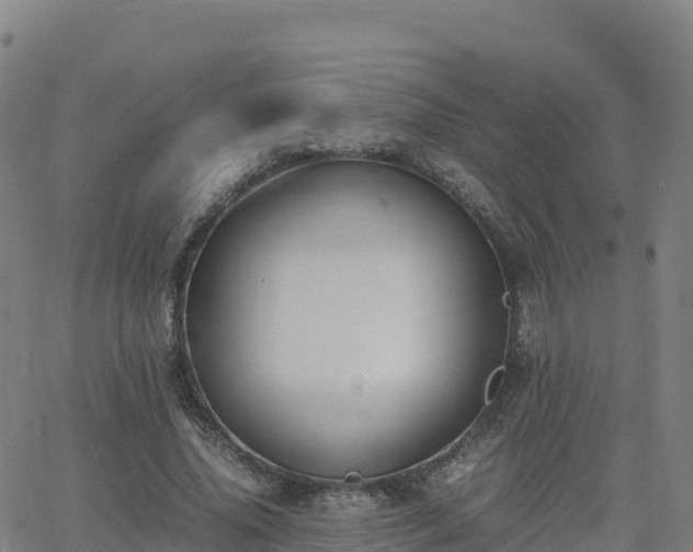 X0000062670636200512230948