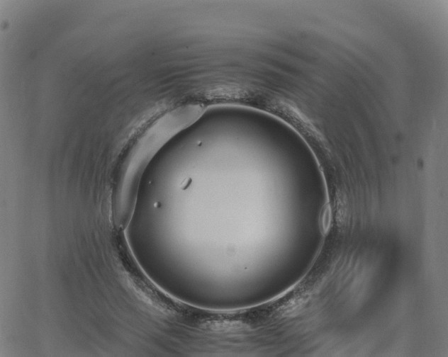 X0000062670637200512230948