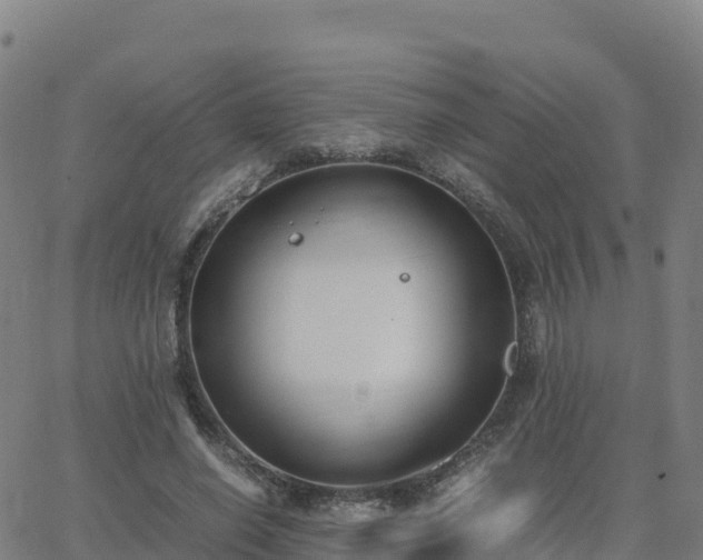 X0000062670638200512230948