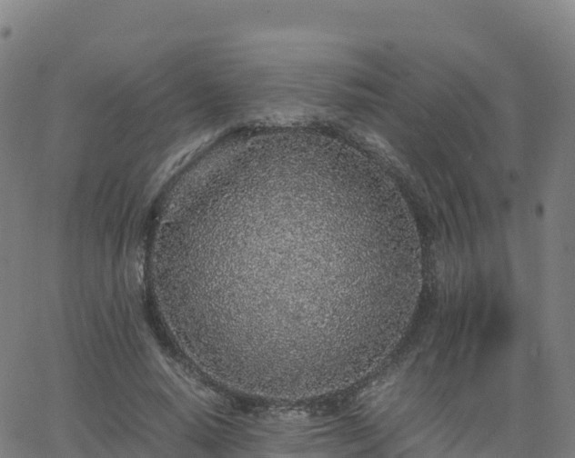 X0000062670640200512230948