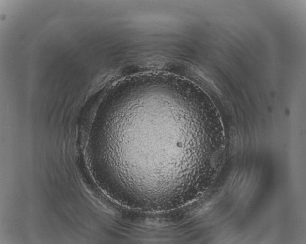 X0000062670641200512230948