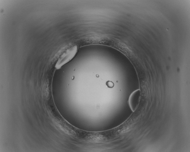 X0000062670642200512230948