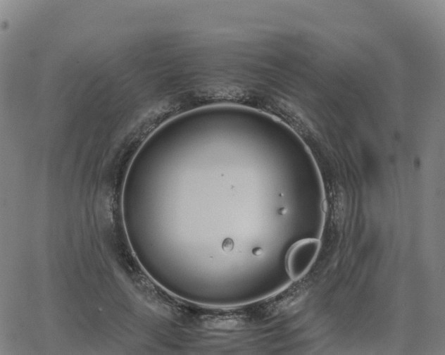 X0000062670643200512230948