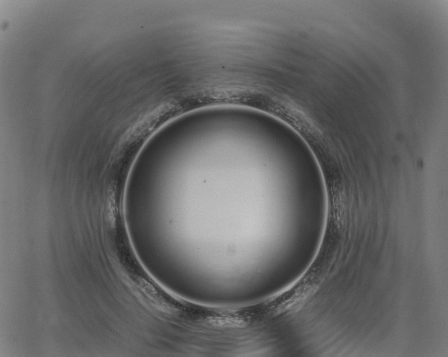 X0000062670644200512230948