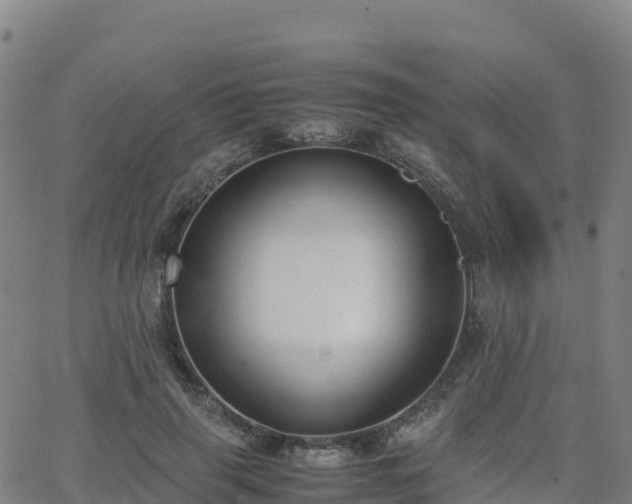 X0000062670645200512230948