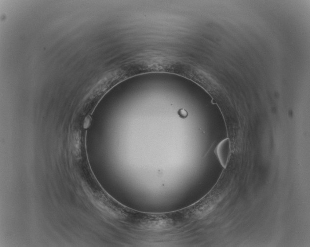 X0000062670646200512230948