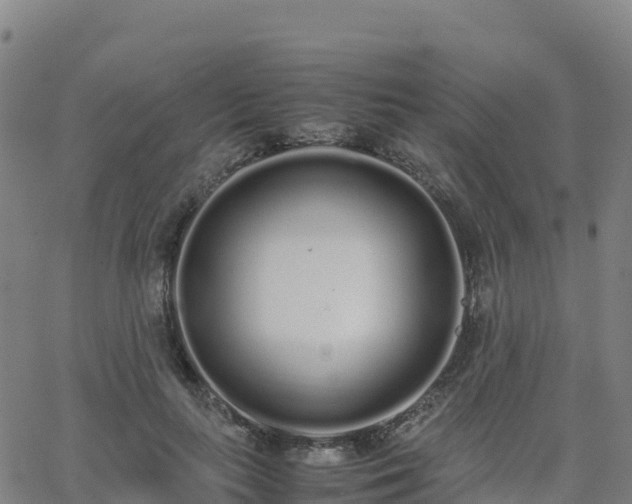 X0000062670647200512230948