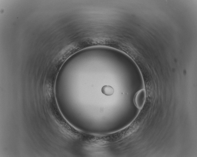 X0000062670648200512230948