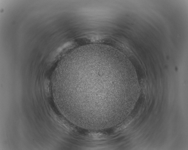 X0000062670650200512230948