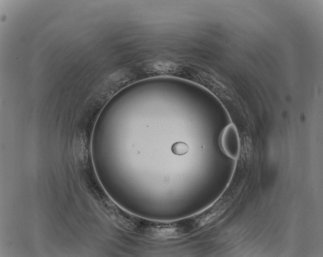 X0000062670651200512230948