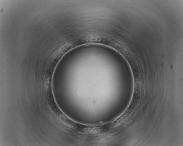 X0000062670652200512230948