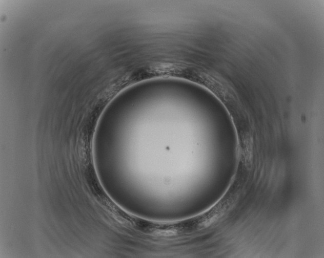 X0000062670653200512230948