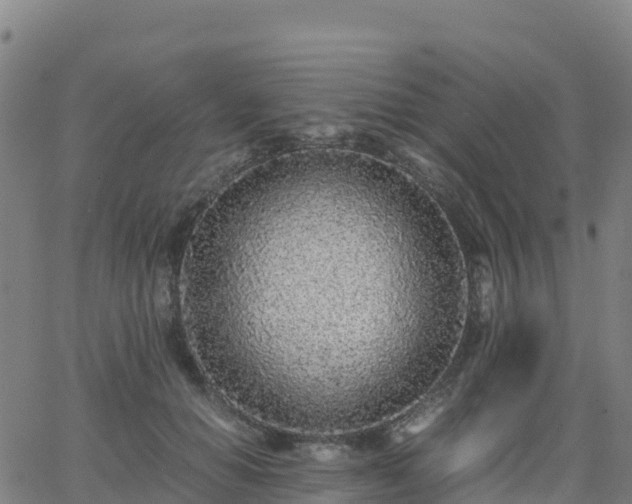 X0000062670654200512230948