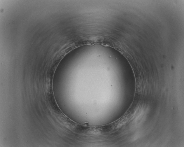 X0000062670656200512230948