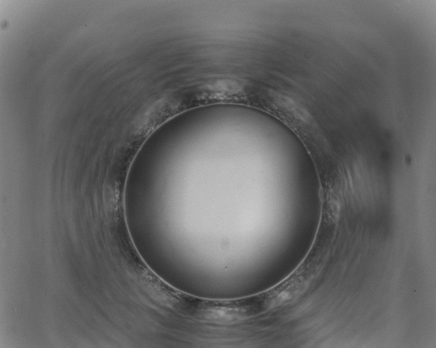 X0000062670657200512230948