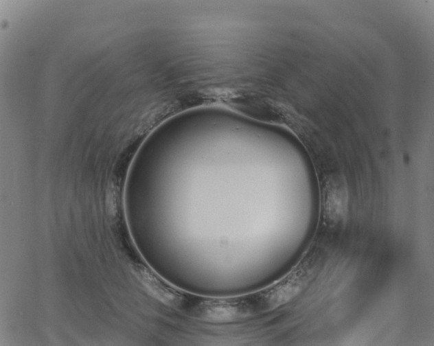 X0000062670658200512230948