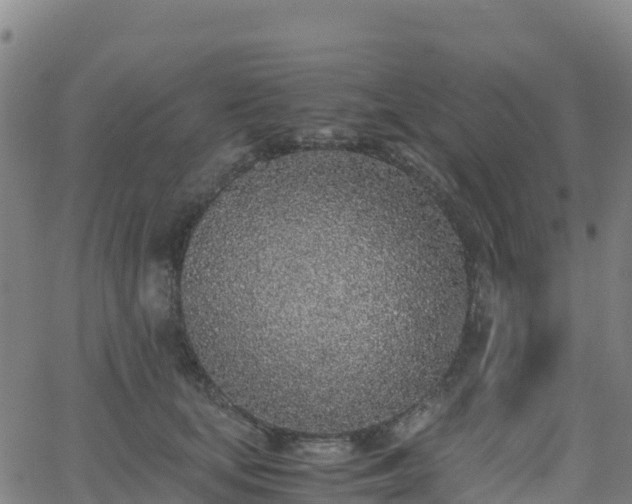 X0000062670659200512230948