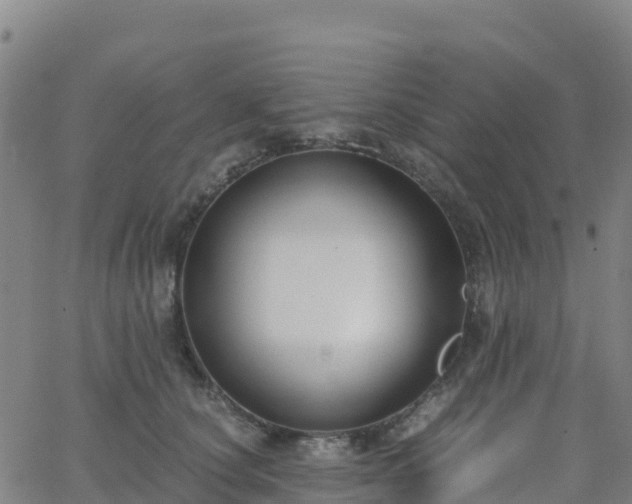 X0000062670660200512230948